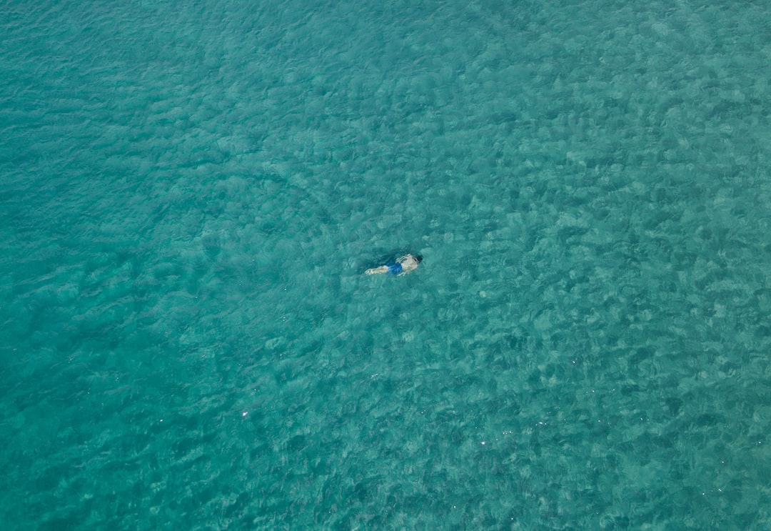 an aerial view of a person swimming in the ocean