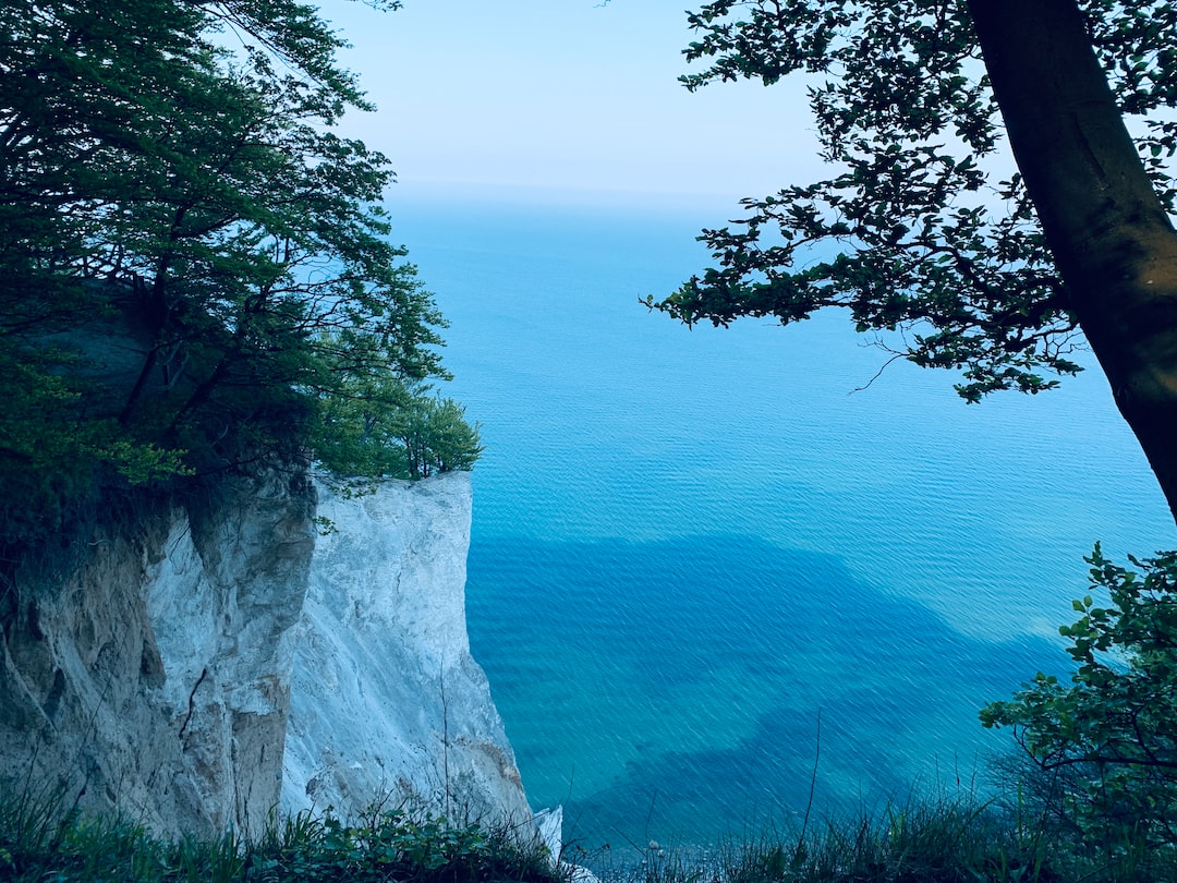 green trees on cliff by the sea during daytime