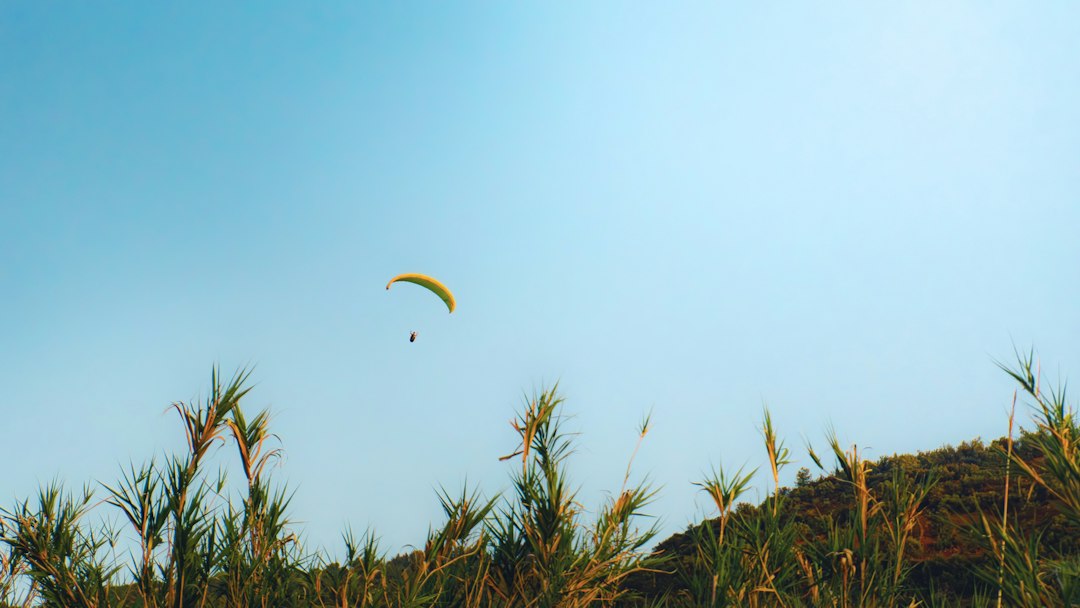 a paraglider is flying over the top of a hill